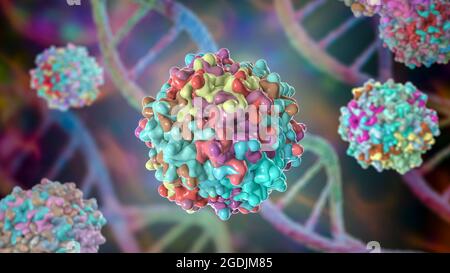 Virus adeno-associati, illustrazione Foto Stock