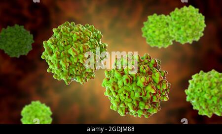 Virus adeno-associati, illustrazione Foto Stock