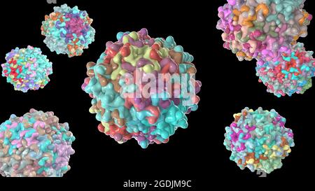 Virus adeno-associati, illustrazione Foto Stock