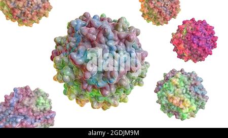 Virus adeno-associati, illustrazione Foto Stock