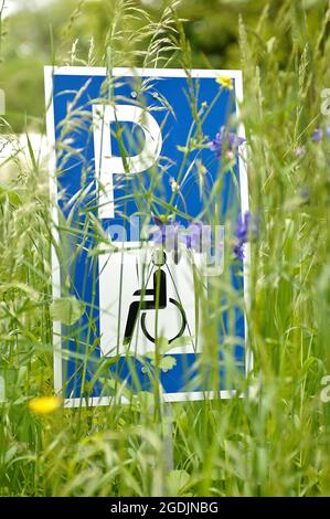 Cartello "Disabled Parking Space" in erba alta, Germania Foto Stock