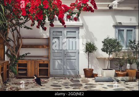 Foto della facciata bianca dell'edificio a Mykonos e fiori Foto Stock