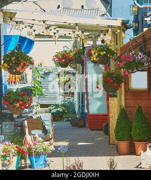 Una mostra di fiori all'aperto di fronte al negozio di fiori. Foto Stock