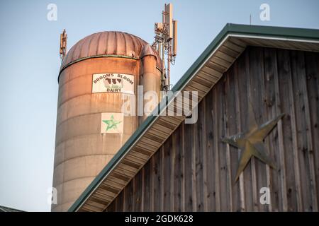 Lavorazione del latte presso la Broom Bloom Foto Stock