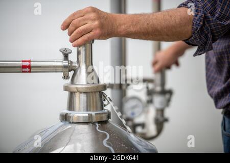 Lavorazione del latte presso la Broom Bloom Foto Stock