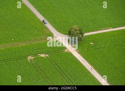 Giebelstadt, Germania. 8 luglio 2021. Un gran numero di aree agricole caratterizzano il paesaggio intorno a Giebelstadt. La formazione per diventare osservatore aereo si è svolta presso il campo aereo di Giebelstadt. Credit: Nicolas Armer/dpa/Alamy Live News Foto Stock