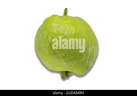 Palle verdi di guava di frutta sana. È stato posto su uno sfondo bianco. Tracciato di ritaglio. Foto Stock