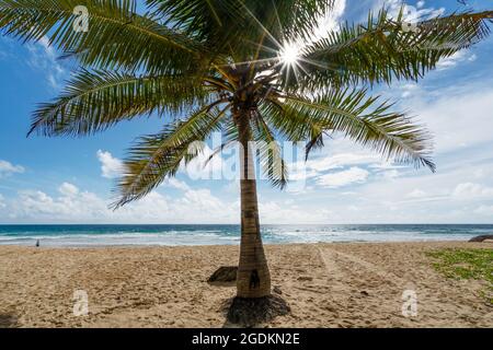 Il bel cielo blu e le nuvole con palme da cocco partono sulle spiagge tropicali di Phuket Thailandia su una soleggiata giornata estiva sfondo natura Foto Stock