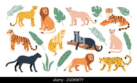 Grandi animali della famiglia felina, tigre, leone, ghepardo e leopardo. Gatti selvatici dalla savana e dalla foresta tropicale. Set vettoriale piatto Jaguar e pantera Illustrazione Vettoriale