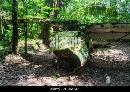 Relitto in aereo nel Cockscomb Basin Wildlife Sanctuary, Belize. Questo aereo si schiantò con il dottor Alan Rabinowitz, biologo che studiava jaguar. Foto Stock