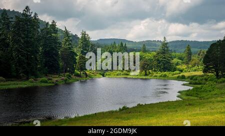 Tumbleton Lake, Cragside, Northumberland, Regno Unito Foto Stock