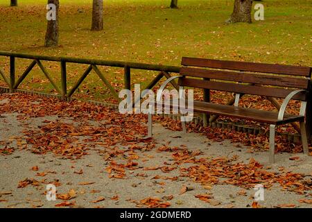 Panca di legno nel parco circondata da foglie cadute. Scena autunnale. Foto Stock