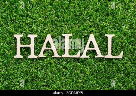 Legno lettera in parola halal su sfondo erba verde artificiale Foto Stock