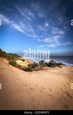 Vista sulla splendida spiaggia di Mazagon, situato nella provincia di Huelva, Spagna. Con le sue scogliere, pini, dune, vegetazione verde Foto Stock