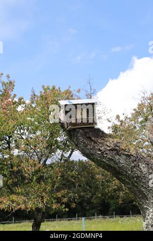 un piccolo hotel per insetti su un albero Foto Stock