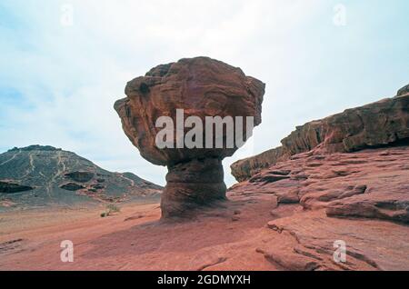 La roccia dei funghi nella valle di Timna, parco di Timna, Israele Foto Stock