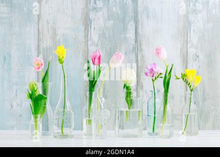 Fiori colorati in bottiglie di vetro. Sfondo messaggi di saluto, spazio di copia. Foto Stock