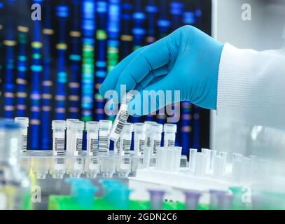Scienziato che prepara un campione di DNA per il test. Foto Stock