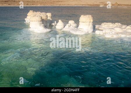 Spranga cristallizzato rocce lungo le rive del Mar Morto, Israele. Foto Stock