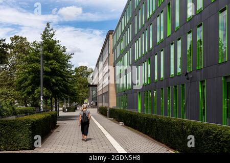 L'edificio del Centro servizi SSC Studierenden (Centro servizi per studenti) dell'Università di Colonia nel distretto Lindenthal, architetto Schuster Foto Stock