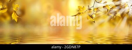 In autunno il faggio foglie decorare una bella natura sfondo bokeh di fondo con la foresta terreno, ampio formato panorama Foto Stock