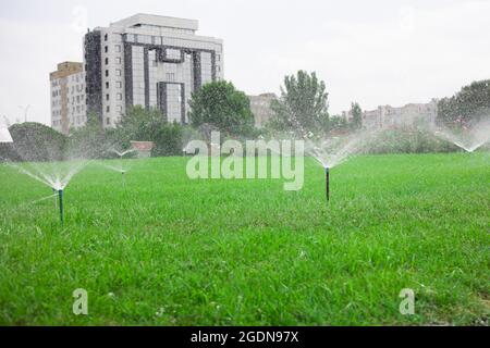 Giardino automatica sprinkler prato in azione di erba di irrigazione Foto Stock