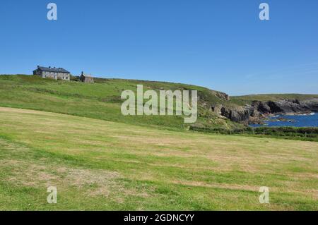 Campi intorno a St non's Bay con St non's Chapel e Retreat Center in cima alla collina, Pembrokeshire, Galles, Regno Unito Foto Stock