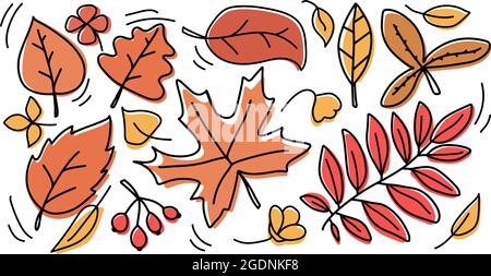 Set di foglie gialle e arancioni d'autunno. Isolato su sfondo bianco illustrazione vettoriale. Alberi elementi fogliame per biglietti d'auguri di stagione disegni Illustrazione Vettoriale