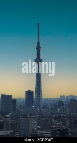 Tokyo City e Tokyo Sky Tree Tower. Vista aerea della citta' di tokyo con famosa destinazione turistica per il viaggiatore. Struttura più alta del mondo quando Foto Stock