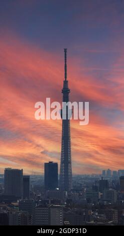 Tokyo City e Tokyo Sky Tree Tower. Vista aerea della citta' di tokyo con famosa destinazione turistica per il viaggiatore. Struttura più alta del mondo quando Foto Stock