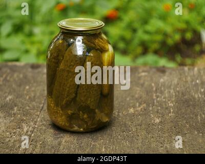 cetrioli in scatola fatti in casa in un primo piano vaso di vetro Foto Stock
