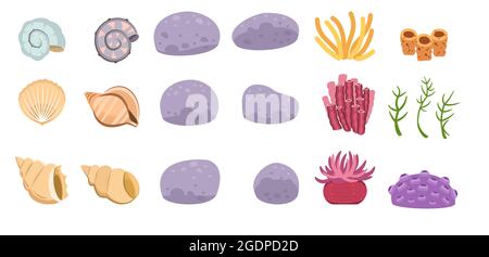 Set di conchiglie, pietre, coralli, alghe. Shell. Mondo sottomarino. Acquario o stagno. Acqua estiva. Isolato su sfondo bianco. Illustrazione in Illustrazione Vettoriale