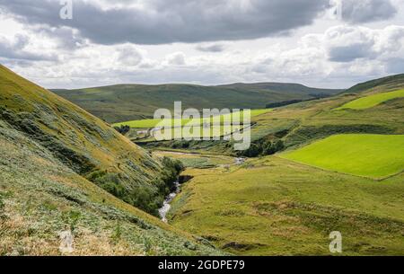 Alta valle di Coquetdale vicino Limbriggs nelle Cheviot Hills, Northumberland National Park. Foto Stock