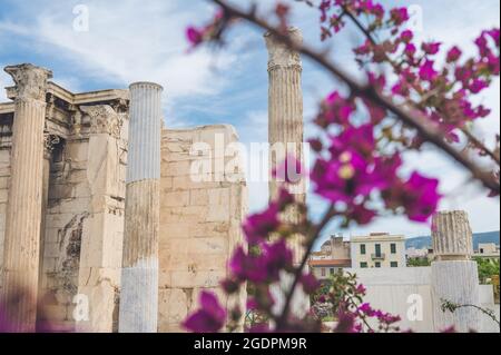 Biblioteca Adriana ad Atene, Grecia. Vista della parete e colonne incorniciate con fiori viola Bougainvillea. Architettura antica. Storia dell'Europa. Foto Stock