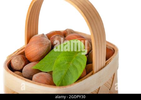 La nocciola si trova in un cestino di legno su uno sfondo bianco isolato. Nocciole non pelate in guscio e foglie verdi Foto Stock