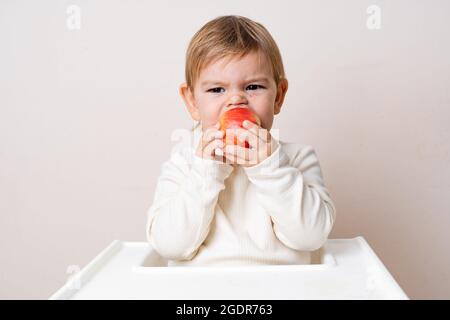 Bambino più piccolo con le mele sulla sedia alta. Mangiare sano. Raccolta estiva e autunnale. Scatto in studio Foto Stock