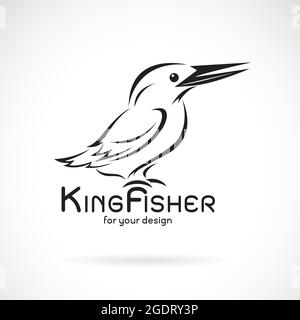 Vettore di kingfisher uccello (Alcedo atthis) su sfondo bianco. Progettazione di uccelli. Logo o icona di Kingfishers. Illustrazione vettoriale a livelli facilmente modificabile. Illustrazione Vettoriale