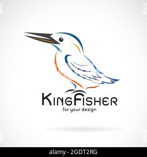 Vettore di kingfisher uccello (Alcedo atthis) su sfondo bianco. Progettazione di uccelli. Logo o icona di Kingfishers. Illustrazione vettoriale a livelli facilmente modificabile. Illustrazione Vettoriale