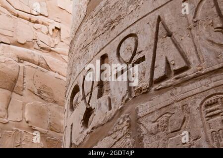 Sculture geroglifice nei templi egizi Foto Stock