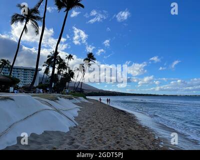 Un cielo blu incontaminato pende su lussureggianti palme lungo le coste dorate di Ka'anapali Beach a Lahaina, Hawaii. Foto Stock