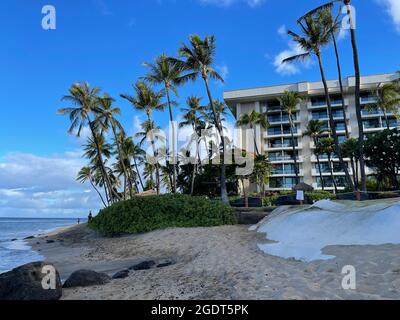 Un cielo blu incontaminato pende su lussureggianti palme e una copertura verde lungo le spiagge dorate di Ka'anapali Beach a Lahaina, Hawaii. Foto Stock