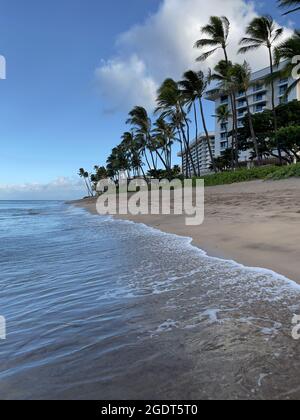 Un cielo blu incontaminato pende su lussureggianti palme lungo le coste dorate di Ka'anapali Beach a Lahaina, Hawaii. Foto Stock