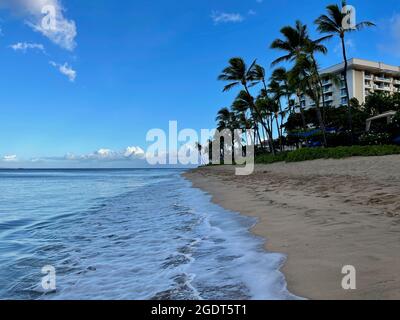 Un cielo blu incontaminato pende su lussureggianti palme lungo le coste dorate di Ka'anapali Beach a Lahaina, Hawaii. Foto Stock