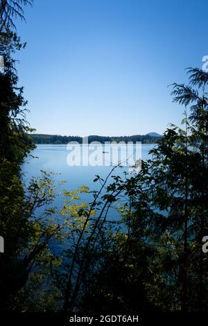 tribale lunga barca fuori sul lago quinault Foto Stock