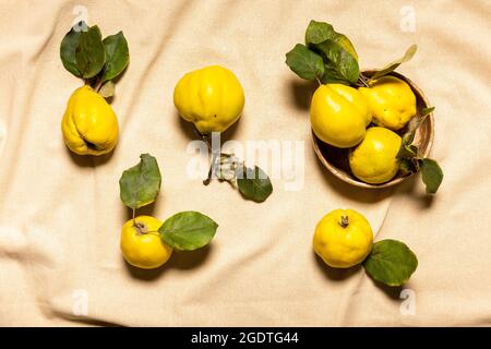 Mele cotogne biologiche in ciotola di argilla e sparse su materiale di lino naturale color pastello rugoso. Frutta e foglie hanno imperfezioni naturali, macchia Foto Stock