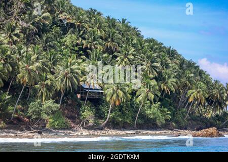 Una capanna di spiaggia bandonded sulla collina di cocco nelle isole tropicali di Mentawaii - Indonesia. Questo paradiso tropicale ha alcune delle migliori onde nel W. Foto Stock