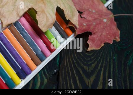 Un insieme di pastelli pastelli pastori per la scuola. Si trovano in una scatola su tavole di pino. Vicino foglie d'acero autunnale. Foto Stock