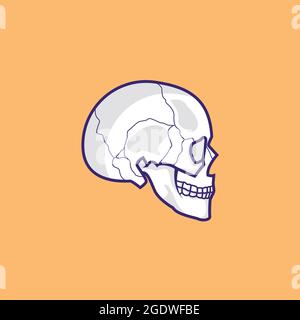 vista laterale disegno vettoriale del cranio, design isolato del cranio Illustrazione Vettoriale