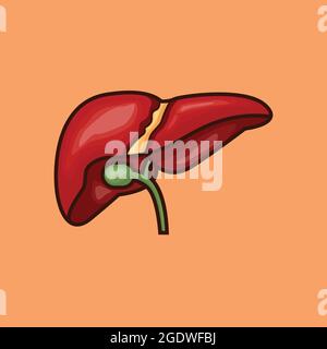 illustrazione di stock vettoriale di fegato umano con la linea, disegno isolato di fegato Illustrazione Vettoriale