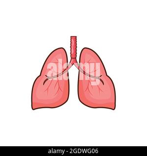 illustrazione del vettore d'organo dei polmoni umani, disegno isolato dei polmoni su sfondo bianco Illustrazione Vettoriale